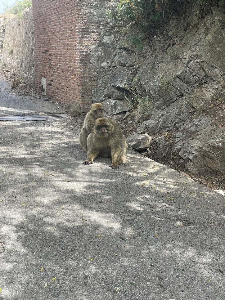 Gibraltar, Costa del Sol